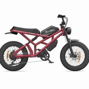 Electric Cycle Big Tire istehsalçısı