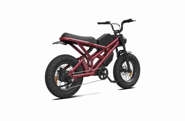 Elektrikli Velosiped istehsalçısı