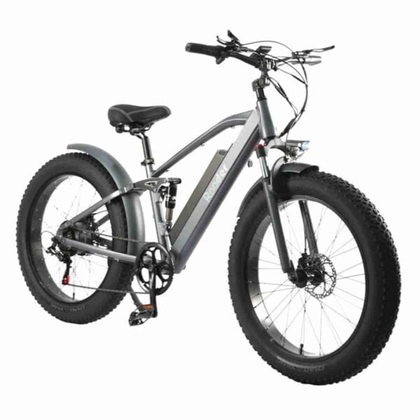 Elektrik Cycle Fat istehsalçısı