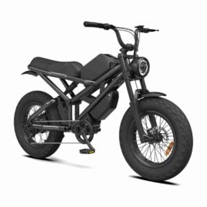 Elektrikli Dirt Bike Long Range istehsalçısı