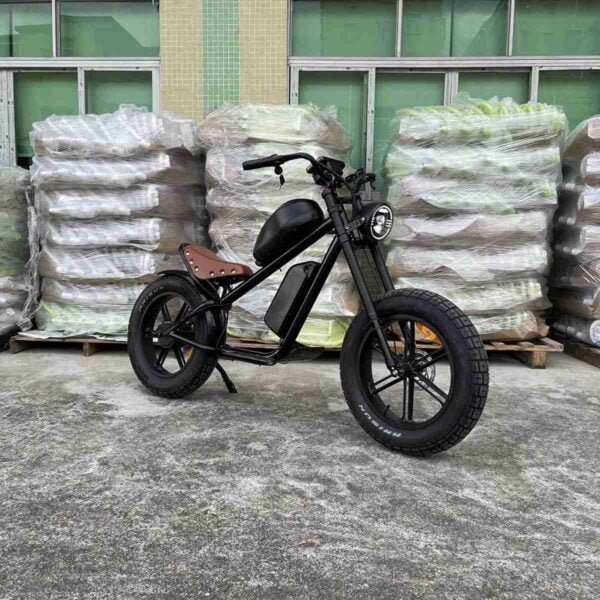 Elektrikli E Bike istehsalçısı
