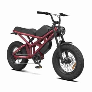 Elektrik Ötürücü Cycle istehsalçısı