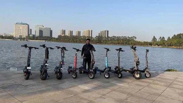 Elektrikli Scooter Paylaşma istehsalçısı