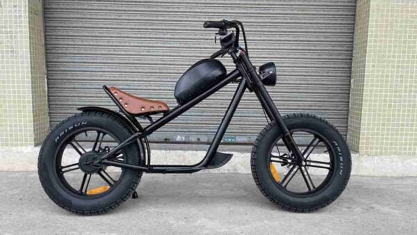 Eu Warehouse Elektrikli Velosiped istehsalçısı
