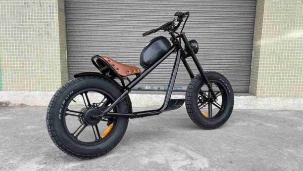 Avropa Anbar Elektrikli Velosiped istehsalçısı