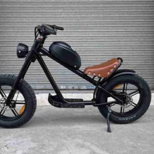 Ən sürətli Qatlana bilən Ebike istehsalçısı