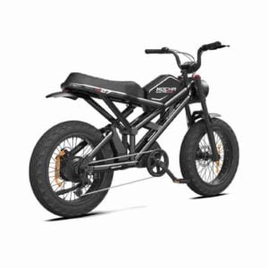 Fat Bike Electric Cycle istehsalçısı