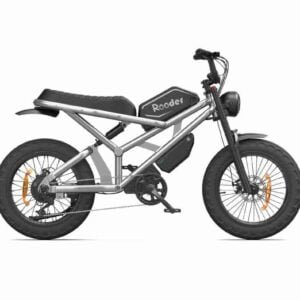 Fat Cycle Electric istehsalçısı