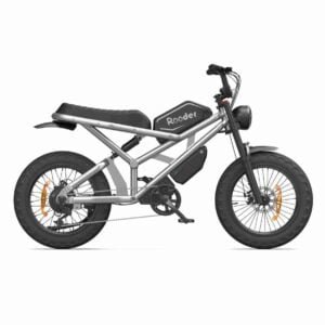 Fat Electric Cycle Qiymət istehsalçısı
