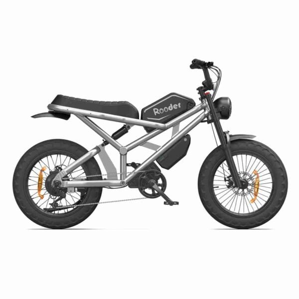 Fat Electric Cycle Qiymət istehsalçısı