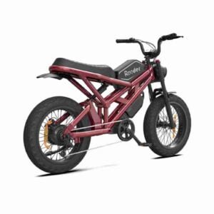 yağlı təkər ebikes istehsalçısı