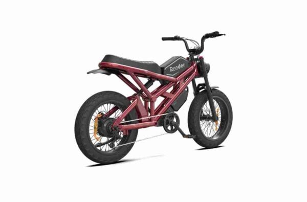 yağlı təkər ebikes istehsalçısı