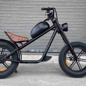 Fat Tire Elektrikli Velosiped 750 Watt istehsalçısı