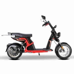 Fat Tire Elektrikli Motosiklet istehsalçısı
