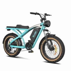 Fat Tire Bike Electric istehsalçısı