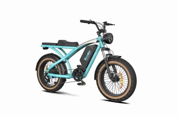 Fat Tire Bike Electric istehsalçısı