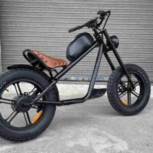 yağlı təkər ebike istehsalçısı