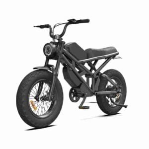 Qatlana bilən Cycle Electric istehsalçısı