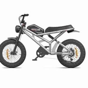 Qatlana bilən E Bike istehsalçısı