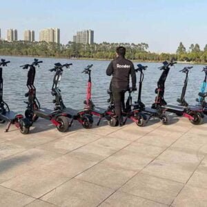 Yaşıl Elektrikli Skuter Yetkinlər üçün istehsalçı