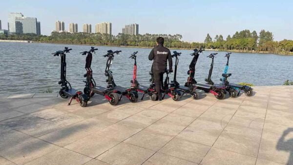 Yaşıl Elektrikli Skuter Yetkinlər üçün istehsalçı