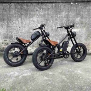 Hybrid E Bike istehsalçısı