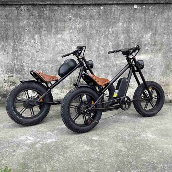 Hybrid E Bike istehsalçısı