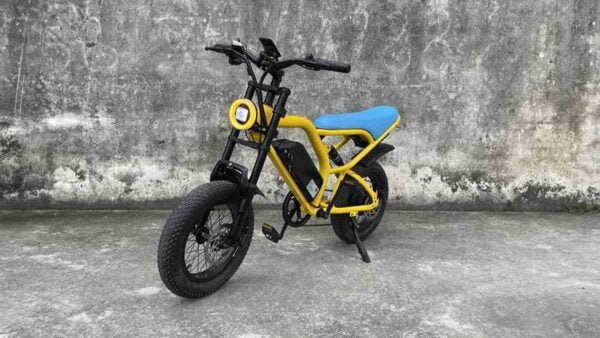 Ladies E Bike istehsalçısı