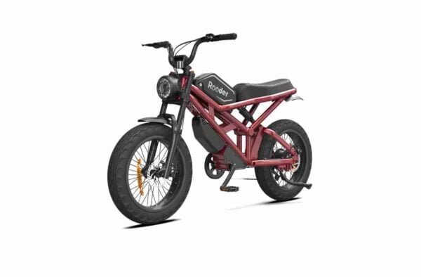 Böyük Elektrikli Dirt Bike istehsalçısı