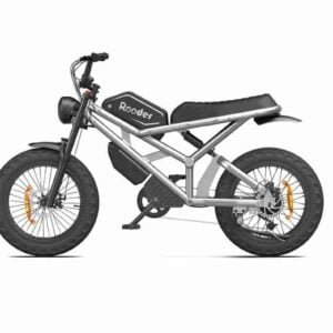 Moped Style E Bike istehsalçısı