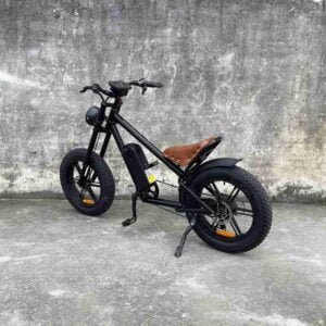 Yeni Elektrikli Velosiped istehsalçısı