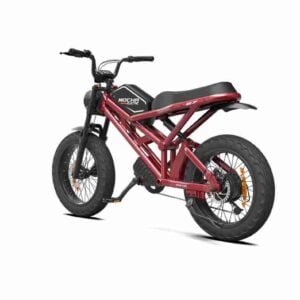 yoldan kənar ebike istehsalçısı