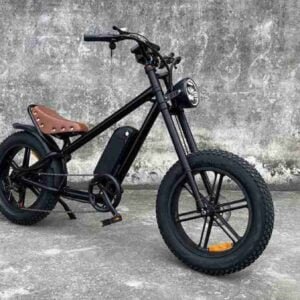 Portativ Ebikes istehsalçısı