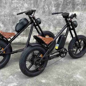 portativ elektrikli velosiped istehsalçısı