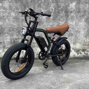 Portativ Qatlanan Elektrikli Velosiped istehsalçısı