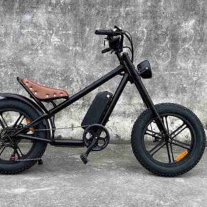 Güclü Qatlanan Elektrikli Velosiped istehsalçısı