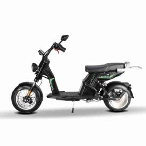 Scooter Electric Citycoco istehsalçısı
