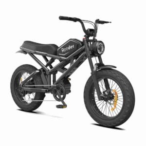 Fat E Bike istehsalçısı