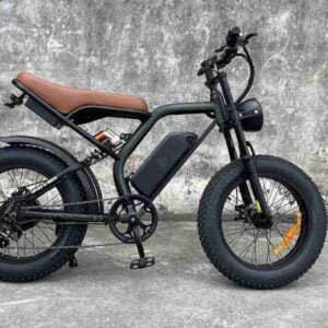 Qadın Qatlanan Elektrikli Velosiped istehsalçısı