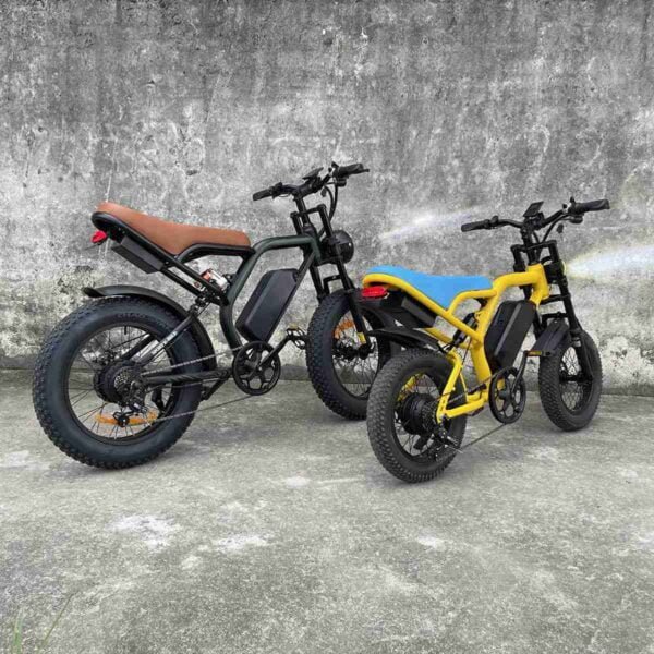 ebike mağaza istehsalçısı
