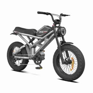 ebike şəhər istehsalçısı