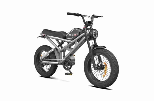 elektrik köməkçi velosiped istehsalçısı
