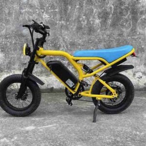 elektrikli velosiped istehsalçısı