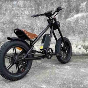 mənə yaxın elektrik velosiped mağazası istehsalçısı