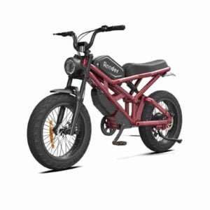 xüsusi ebike istehsalçısı