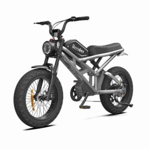 ixtisaslaşdırılmış ebike istehsalçısı