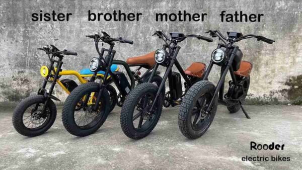 mənə yaxın istehsalçı istifadə ebikes